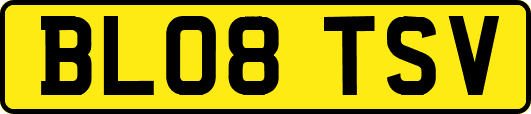 BL08TSV