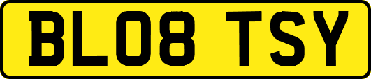 BL08TSY
