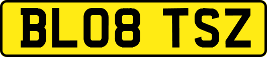 BL08TSZ