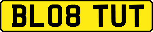 BL08TUT