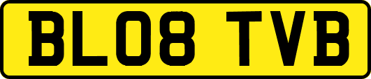 BL08TVB