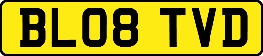 BL08TVD
