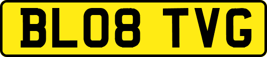 BL08TVG
