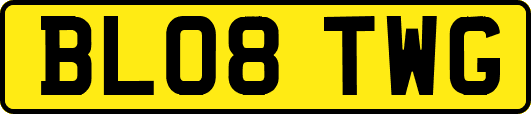 BL08TWG