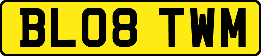BL08TWM