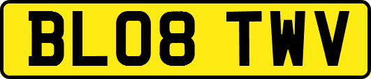 BL08TWV