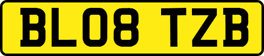 BL08TZB
