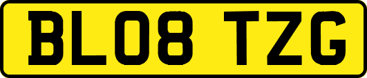 BL08TZG
