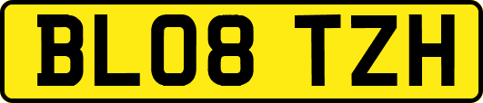 BL08TZH
