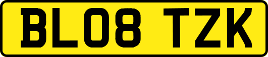 BL08TZK