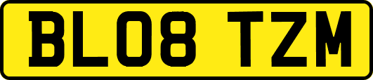 BL08TZM