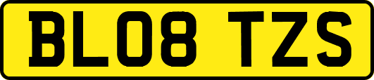 BL08TZS