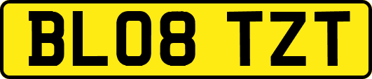 BL08TZT