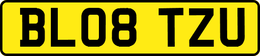 BL08TZU