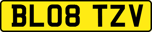 BL08TZV