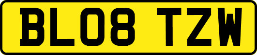 BL08TZW