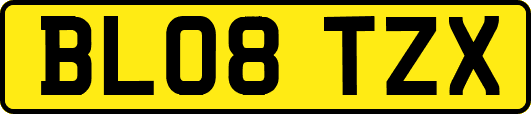 BL08TZX