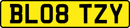 BL08TZY