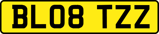 BL08TZZ