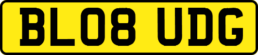 BL08UDG