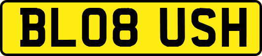 BL08USH