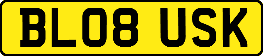 BL08USK