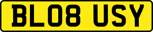 BL08USY
