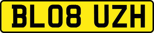 BL08UZH