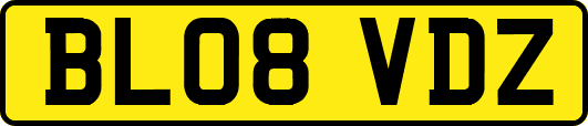BL08VDZ