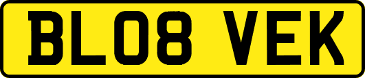 BL08VEK
