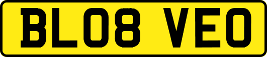 BL08VEO