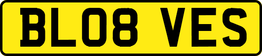 BL08VES
