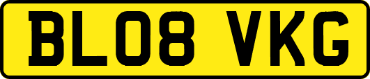BL08VKG