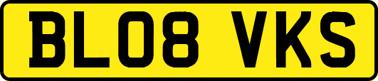 BL08VKS