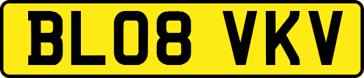 BL08VKV