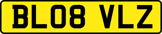 BL08VLZ