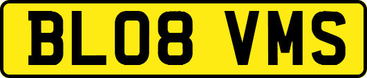 BL08VMS