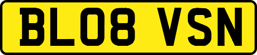BL08VSN