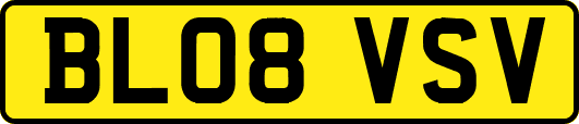BL08VSV