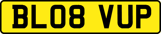 BL08VUP