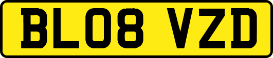 BL08VZD