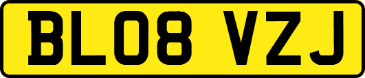 BL08VZJ