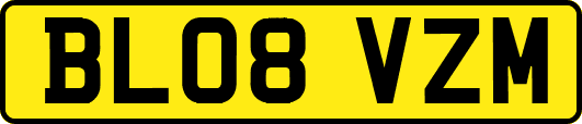 BL08VZM