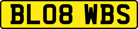BL08WBS