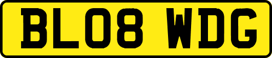 BL08WDG