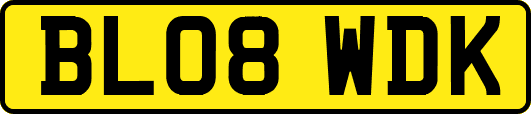 BL08WDK