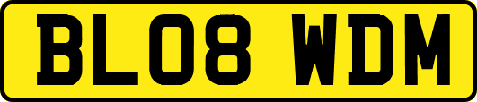 BL08WDM