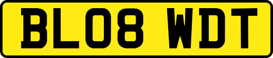 BL08WDT