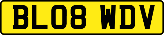 BL08WDV