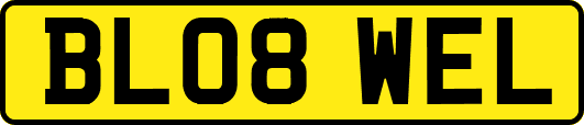 BL08WEL
